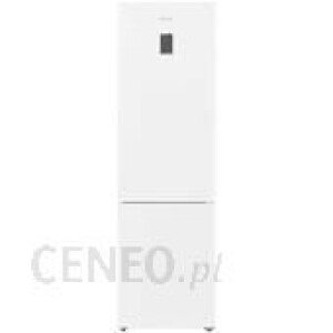 Lodówka Bosch KGN49XWEA